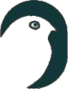 Nightjar Logo